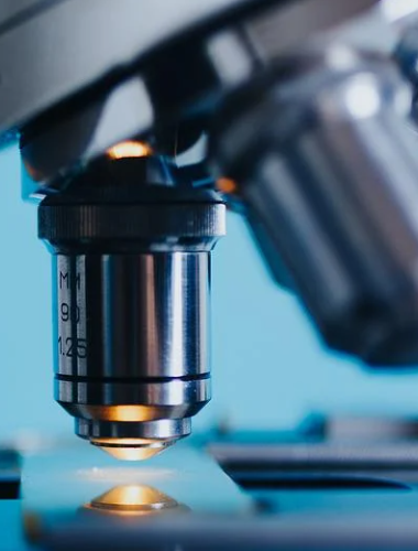 尊龙凯龙时官网进入「中国」网页版入口