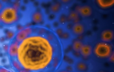 尊龙凯龙时官网进入「中国」网页版入口