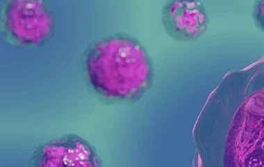 尊龙凯龙时官网进入「中国」网页版入口