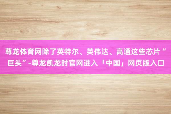尊龙体育网除了英特尔、英伟达、高通这些芯片“巨头”-尊龙凯龙时官网进入「中国」网页版入口