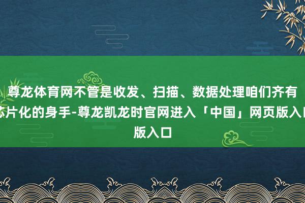 尊龙体育网不管是收发、扫描、数据处理咱们齐有芯片化的身手-尊龙凯龙时官网进入「中国」网页版入口
