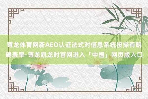 尊龙体育网新AEO认证法式对信息系统按捺有明确表率-尊龙凯龙时官网进入「中国」网页版入口